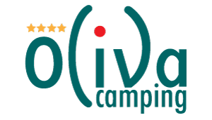 juve & camps Juve Y Camps Brut Rose' Pinot Noir