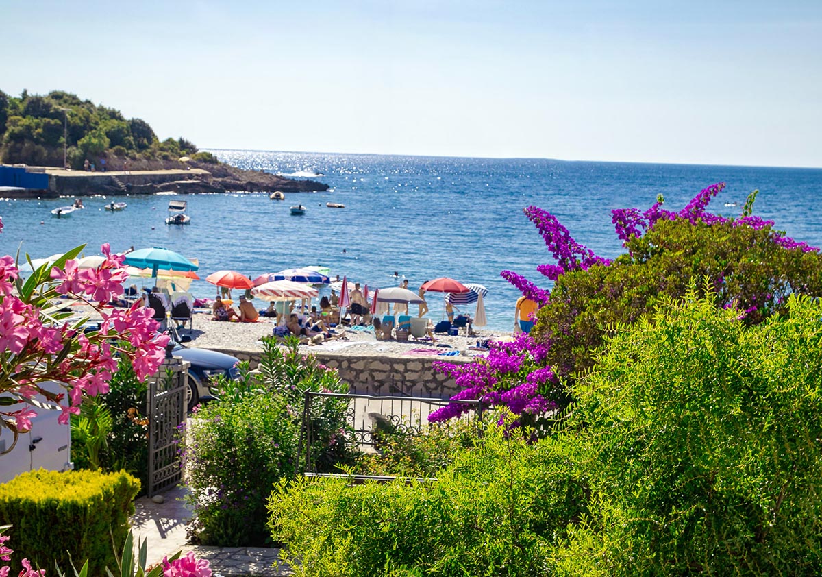 Camp Oliva_jul_-7